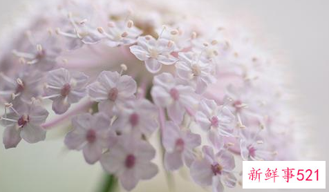连小人都惧怕的星座