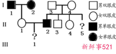 双眼皮遗传规律表