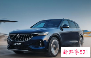 岚图FREE调价方案公布，纯电车型涨1万