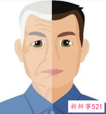 我开始恐惧衰老和愚钝