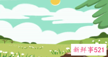 属鸡和属猪的合不合婚姻