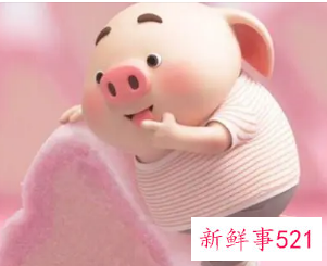 1995属猪什么时候添丁