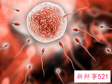 男人如何自己解决生理需求
