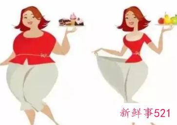 肥胖的6大原因