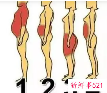 肥胖的6大原因