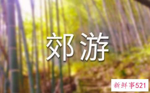 郊游带什么吃的
