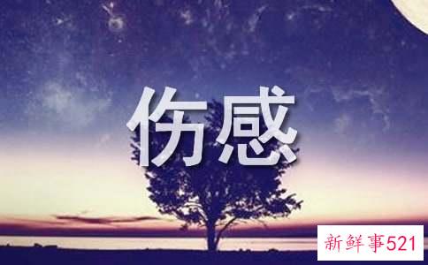 伤感的句子说说心情简短