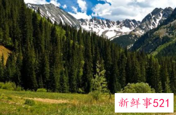 一视同仁的事例