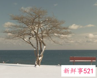 人失去方向的时候该怎么做
