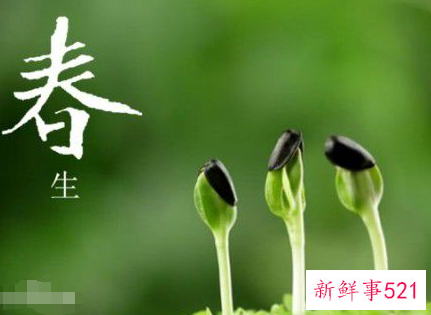 什么是春天的象征