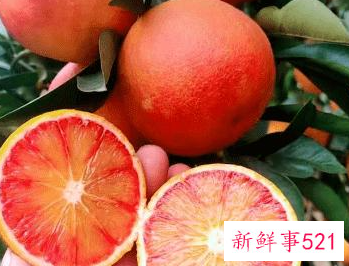 代表四川特色的东西