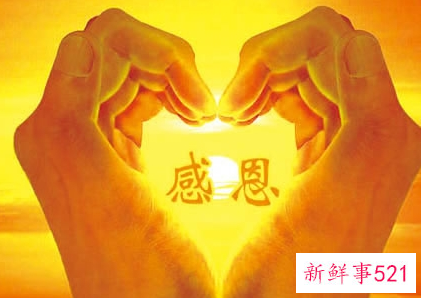 感恩的经典语句感恩的经典名言