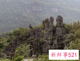 四川4A级竹石林景区2805万元起拍