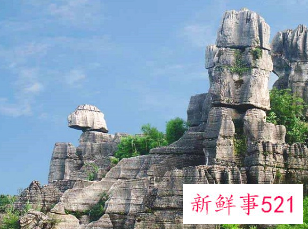 四川4A级竹石林景区2805万元起拍