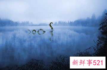 世界神秘怪兽的未解之谜？