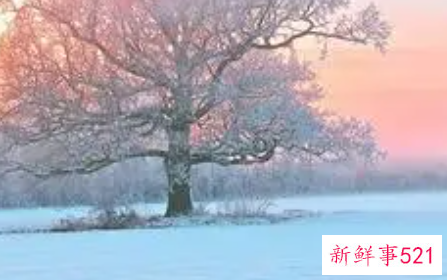 描写冬天景色的优美段落