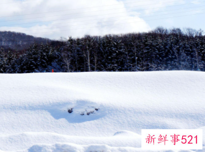 描写冬天景色的优美段落