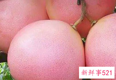 福建的三红蜜柚