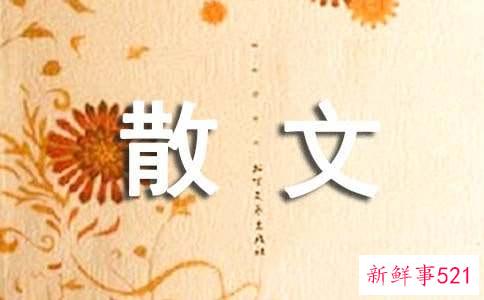人性若莲散文欣赏
