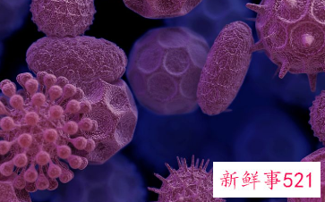巨细胞病毒阳性什么意思