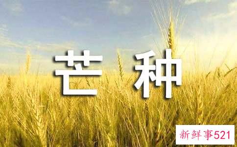 二十四节气中芒种的养生之道