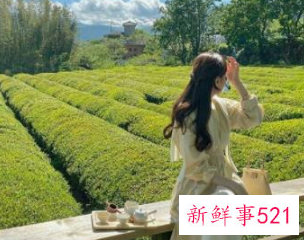 有含义伤感的网名