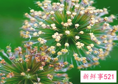 女朋友说累了要怎么哄