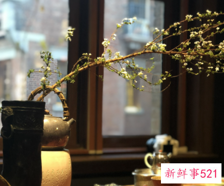 怎么夸奖一个人