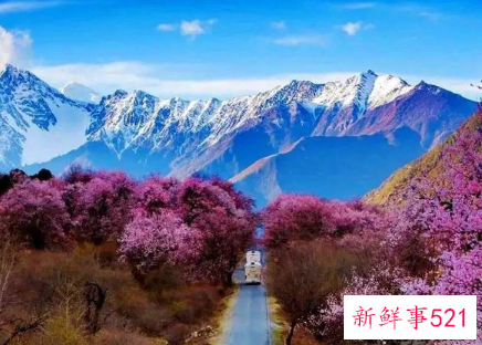 男人需要情人还是知己
