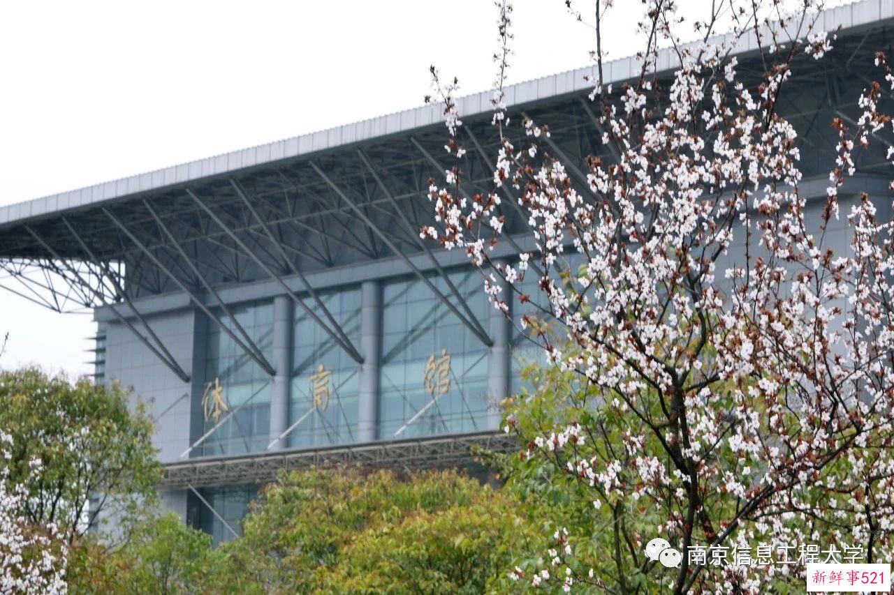 南京高校“校花”图鉴！谁是你心中的“门面担当”？