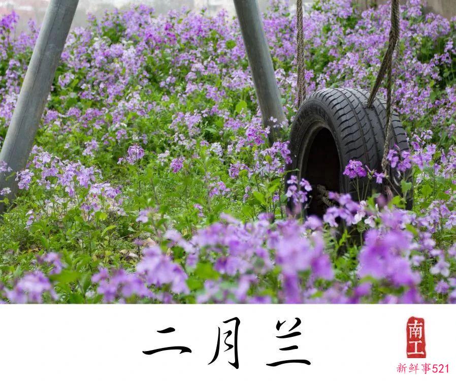 南京高校“校花”图鉴！谁是你心中的“门面担当”？