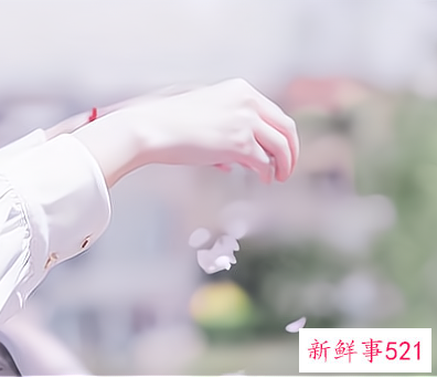 婚姻里的相处之道