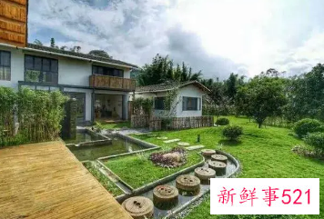五一假期乡村民宿量价齐涨，露营相关服务火热