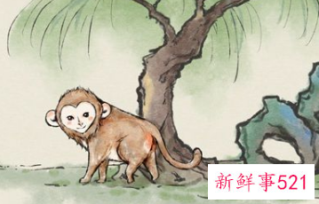 92年属猴人晚婚有多晚