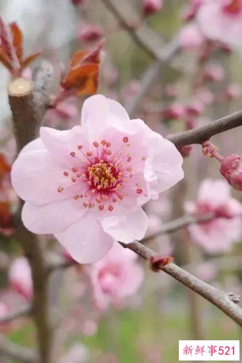 南京高校“校花”图鉴！谁是你心中的“门面担当”？