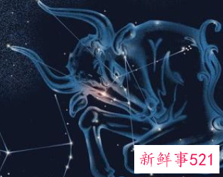 金牛座女生的吉祥物