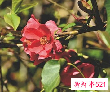 女朋友说累了要怎么哄