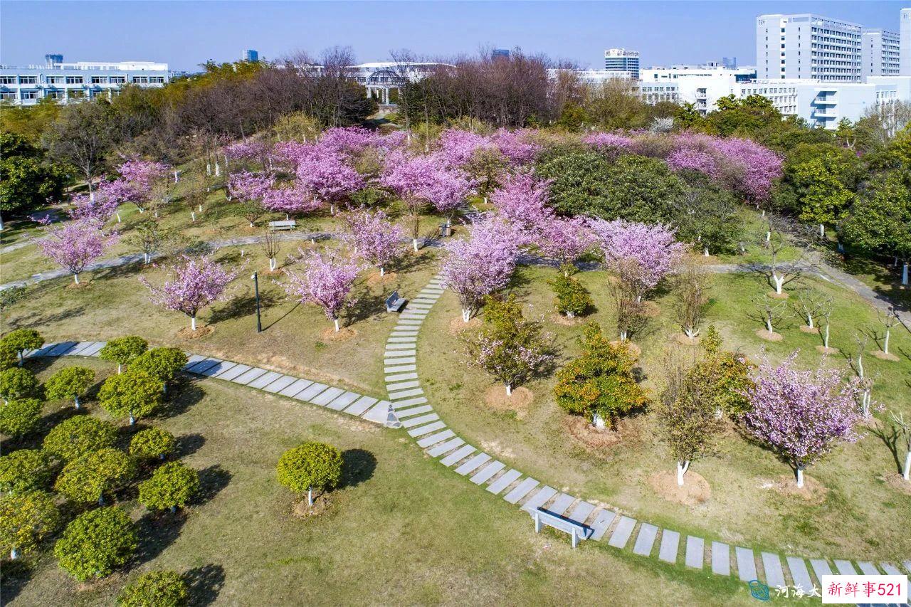 南京高校“校花”图鉴！谁是你心中的“门面担当”？