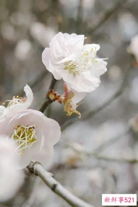 南京高校“校花”图鉴！谁是你心中的“门面担当”？