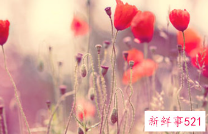 恋爱期间女方出轨怎么办