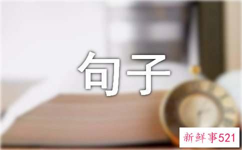 深情款款的句子