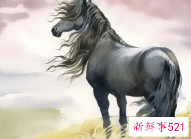 属马佩戴什么吉祥物运气好