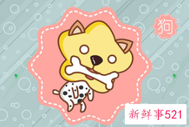 属狗女生如何看待保守的男票