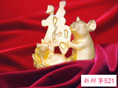 96年属鼠的最佳婚配是什么