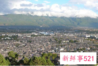 五一假期乡村民宿量价齐涨，露营相关服务火热