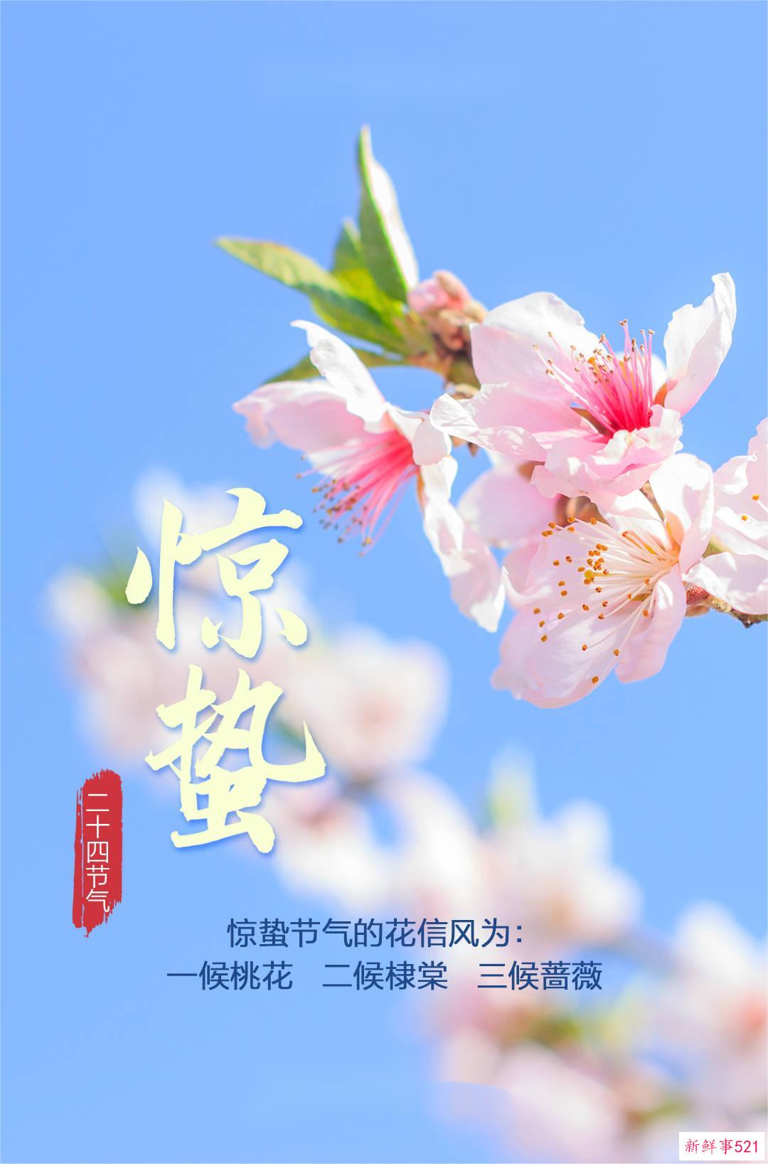 今日惊蛰！仲春开始，春回大地，万物复苏