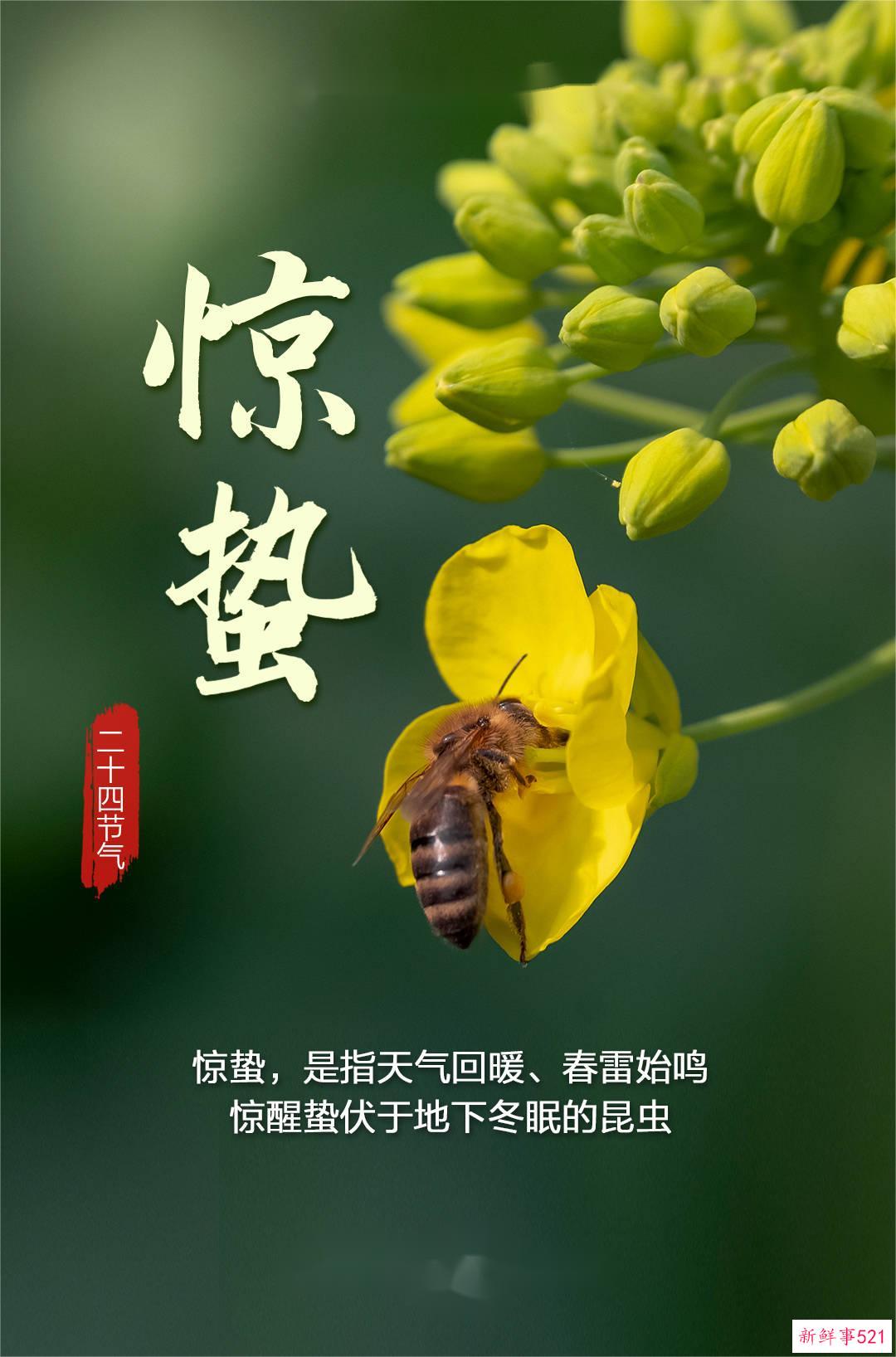 今日惊蛰！仲春开始，春回大地，万物复苏