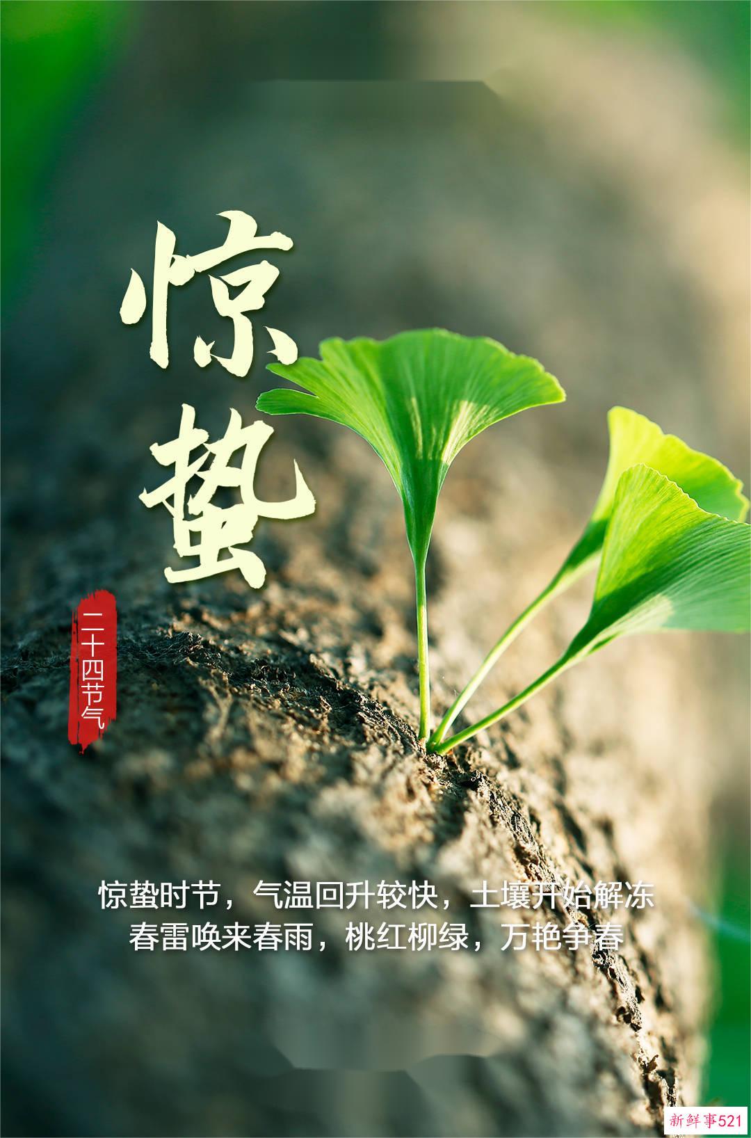 今日惊蛰！仲春开始，春回大地，万物复苏