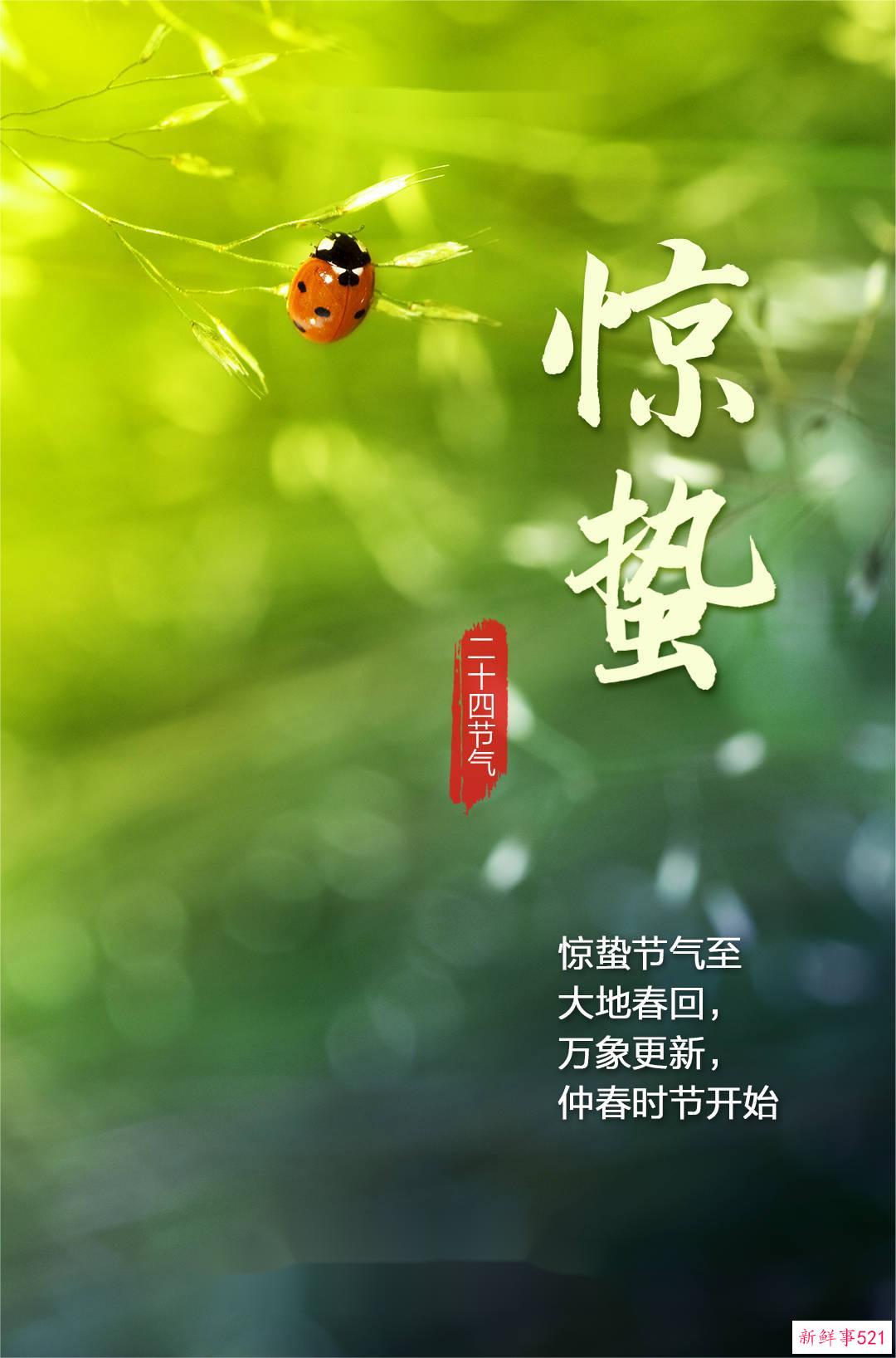 今日惊蛰！仲春开始，春回大地，万物复苏