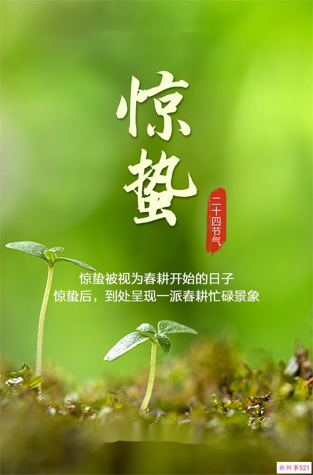 今日惊蛰！仲春开始，春回大地，万物复苏